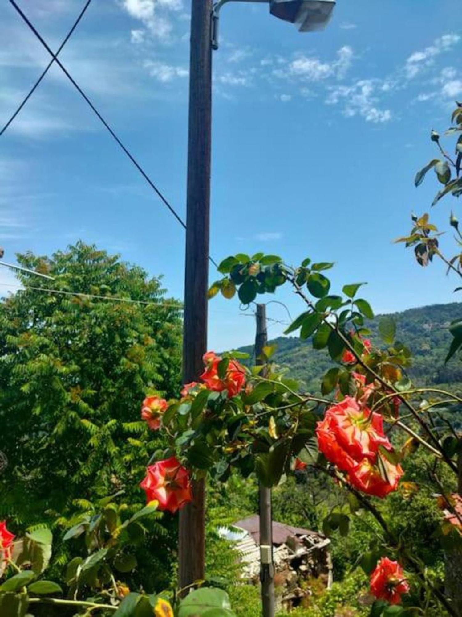 Apartament Hara'S House Pelion Makrirrákhi Zewnętrze zdjęcie