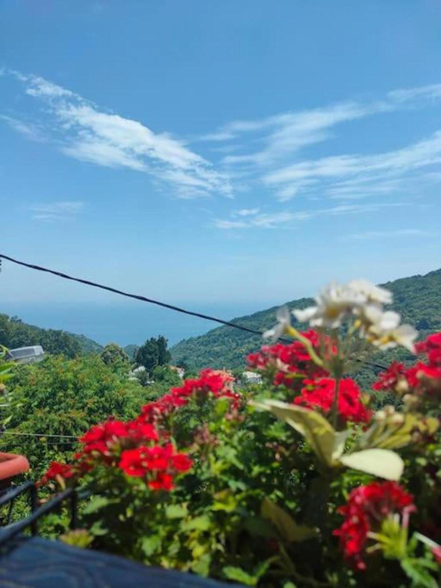 Apartament Hara'S House Pelion Makrirrákhi Zewnętrze zdjęcie
