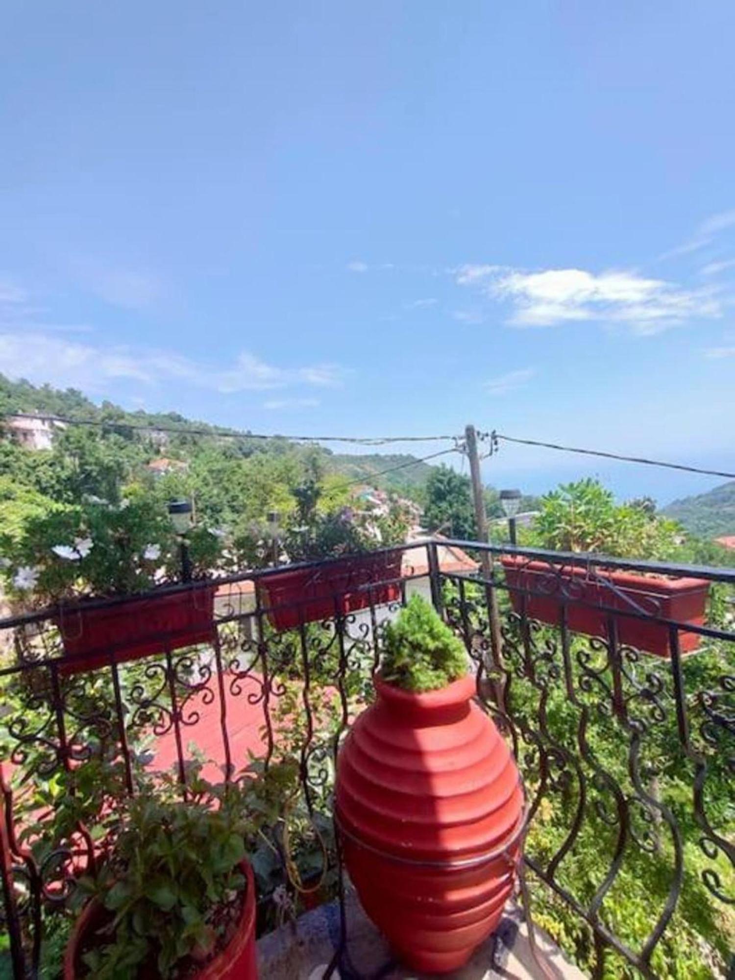 Apartament Hara'S House Pelion Makrirrákhi Zewnętrze zdjęcie