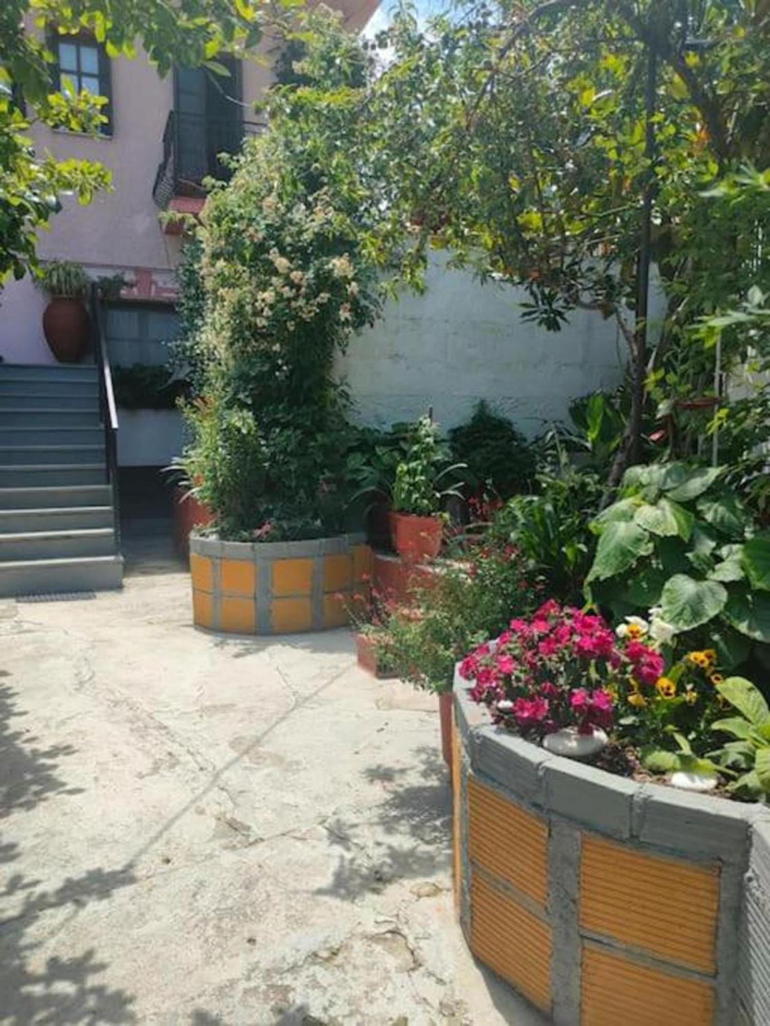 Apartament Hara'S House Pelion Makrirrákhi Zewnętrze zdjęcie