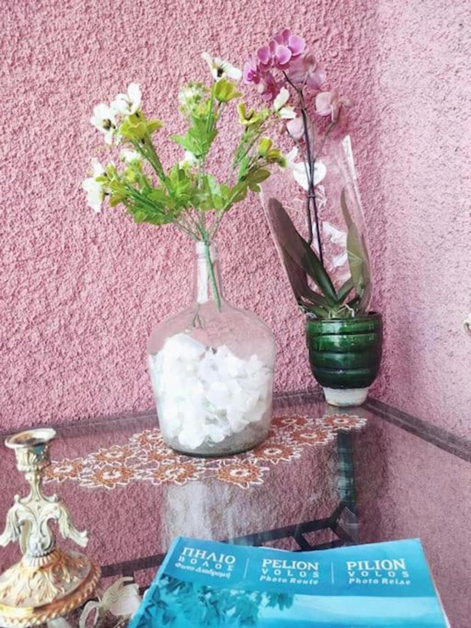 Apartament Hara'S House Pelion Makrirrákhi Zewnętrze zdjęcie